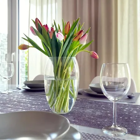 Modern Wohnen I Smart Tv I Terrasse I 2x Parkplatz I 2 Schlafzimmer I 6 Schlafplaetze Bad Oeynhausen